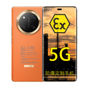 honor/荣耀 X60Pro 5G 6600mAh大电池 抗摔绿洲护眼屏 化工厂医药EX本安工业石油库天然气专用CT4 带防爆证书