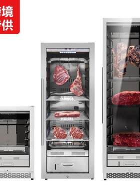 JOSOO掌声A450N牛排柜牛肉熟成柜家商用干式排酸西餐保鲜展示柜冰