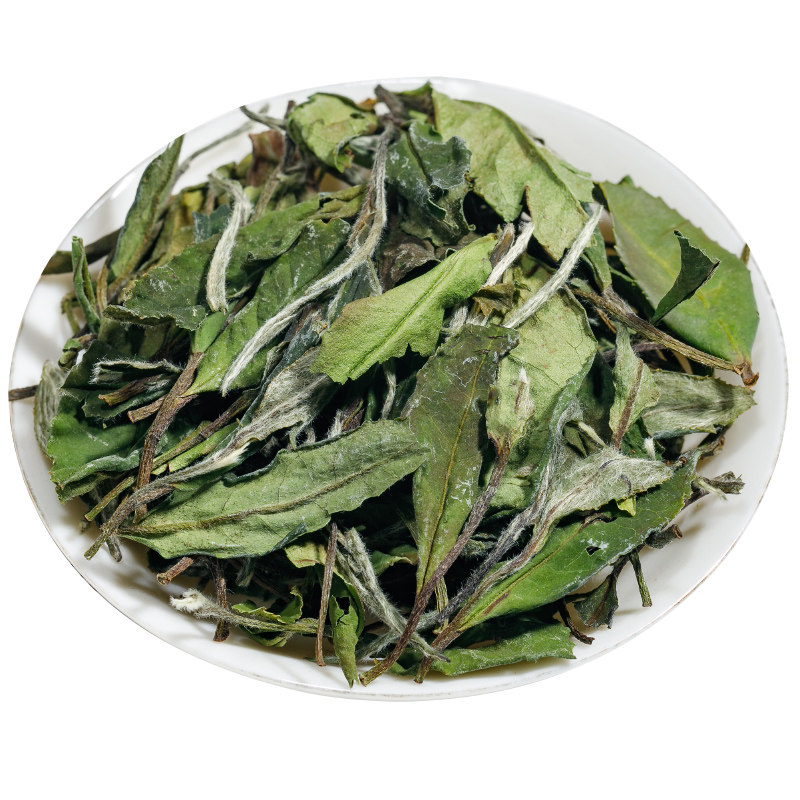 福鼎老白茶2021寿眉新茶