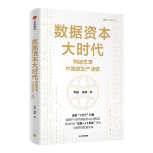 数据资本大时代 构建未来中国数据产业链 朱民 潘柳著  展望十五五数据产业链与数据资本生态 数字经济 中信出版社图书 正版