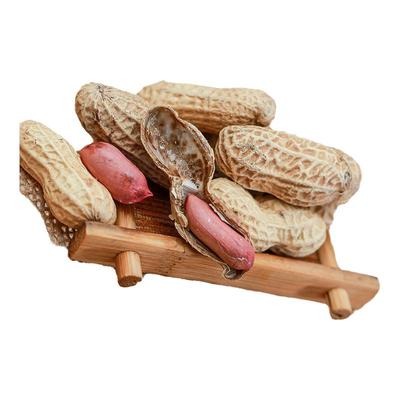 荣成特产出口日本带壳农家炒花生