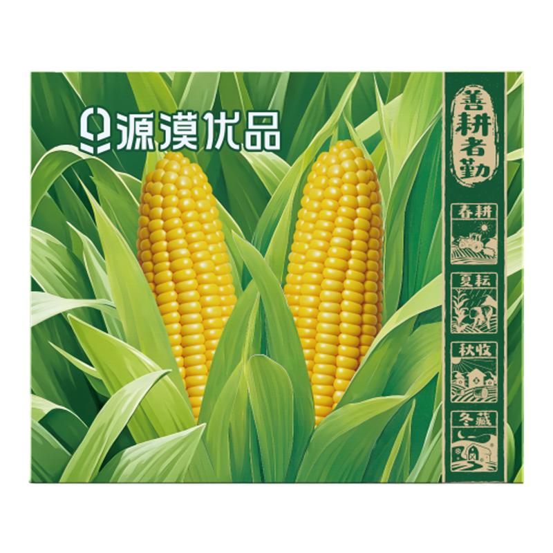 源漠优品沙漠有机黄糯玉米非转基因软糯香甜加热即食10穗
