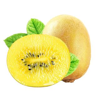 四川黄心猕猴桃新鲜当应季水果整箱包邮孕妇金大野生奇异果弥猴桃