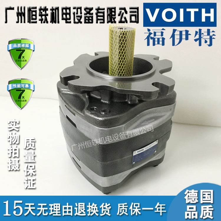VOITH/福伊特 IPVP7/IPV7-125/160/200/250-111/101/171 齿轮泵