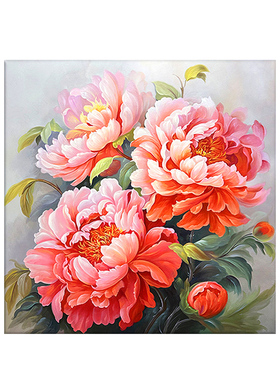 数字油画diy手绘填充花卉牡丹花
