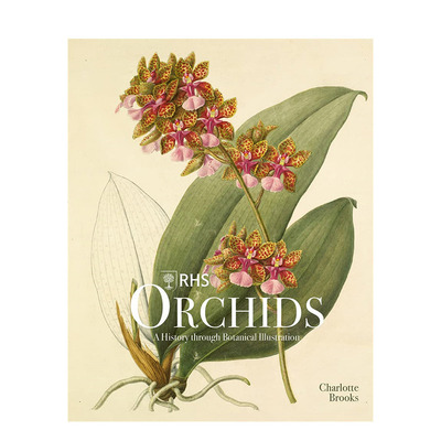 【现货】英文原版 皇家园艺协会：兰花 插画图鉴 RHS Orchids 英文插画/原画/设定集 正版进口书画册 善优图书