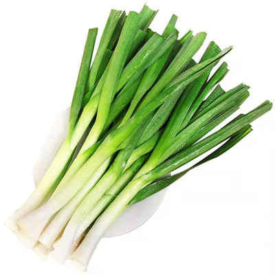 大蒜苗新鲜红皮青梗蒜苗当季农家自种本地青蒜现挖时令青菜蔬菜