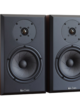 6.5寸西瓜皮hifi无源书架音箱