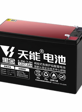 天能12V拉杆音响专用铅酸蓄电池