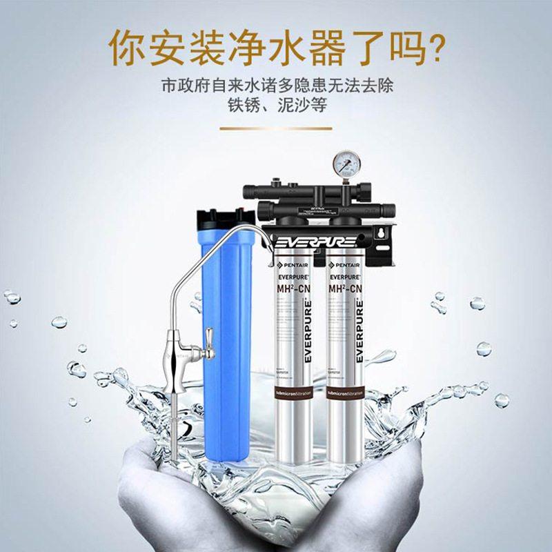 爱惠浦净水MH2双联 商用咖啡奶茶店自来水过滤直饮净水机器阻垢