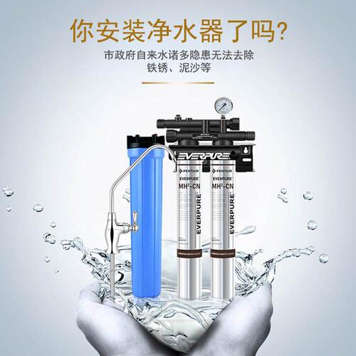 爱惠浦净水MH2双联 商用咖啡奶茶店自来水过滤直饮净水机器阻垢
