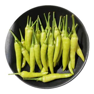 正宗特辣小米辣苗秧四季簇生红包小辣椒烈焰朝天椒种子四季盆栽