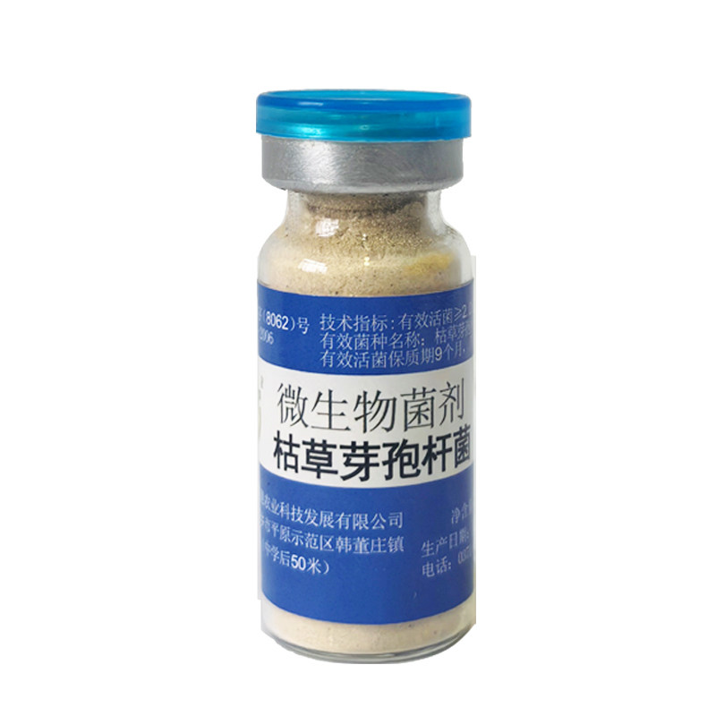 枯草芽孢杆菌原种可扩培种植
