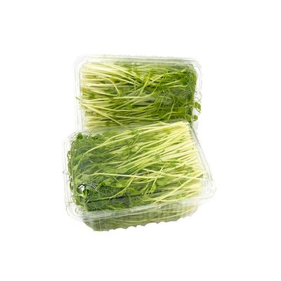 豌豆苗芽菜500g新鲜蔬菜碗豆尖