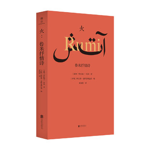 当当网 火：鲁米抒情诗 伊朗著名导演阿巴斯精编细选的鲁米诗集 诗人翻译家黄灿然翻译 波斯诗歌传统 感受波斯先贤鲁米的人生智慧