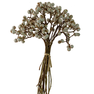 天然小白果干花diy手作花环搭配花材白色薏米果小清新装饰干树枝