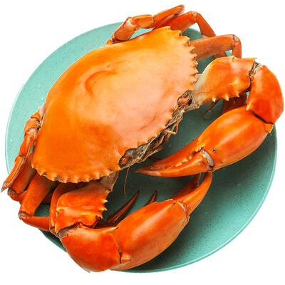三门青蟹特大公母鲜活2斤装