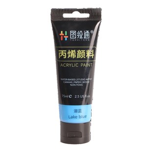 丙烯颜料套装75ml盒装颜料挤压式防水防晒儿童无毒画衣服鞋子绘画