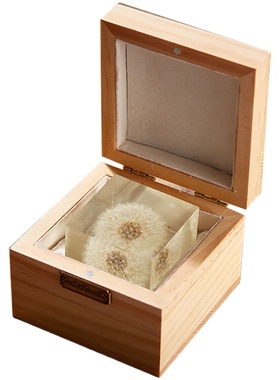 蒲公英标本立方体永生花桌面装饰