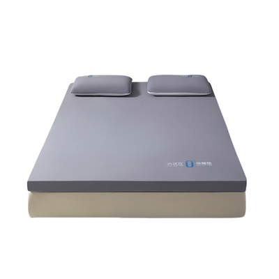 记忆棉床垫家用卧室海绵子不塌陷零压慢回弹学生宿舍深睡软垫子