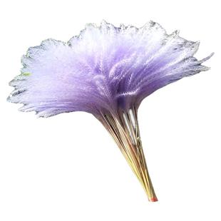 芦苇干花紫色蒲苇花粉色紫罗兰蓝色婚庆装饰道具花束摆件北欧风格