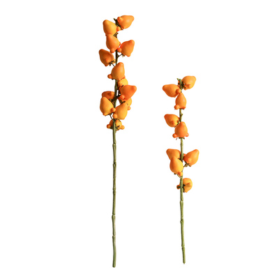 五代果仿真果实黄金果