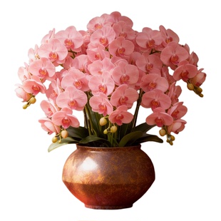 手工复古陶瓷花盆轻奢高级感庭院陶瓷蝴蝶兰三角梅高飘枝粗陶大号