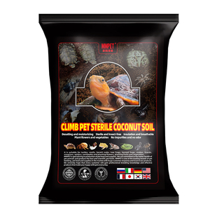 爬宠小乌龟椰土仓鼠白玉蜗牛角蛙蜘蛛寄居蟹甲虫甲虫螃蟹椰土垫材