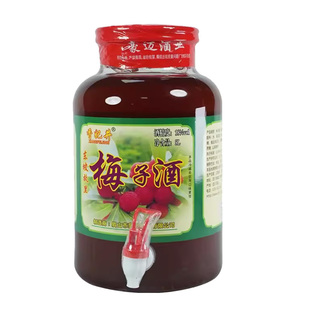 香妃井低度数新鲜浸泡自酿甜干型微醺原汁梅子酒杨梅酒果酒瓶装
