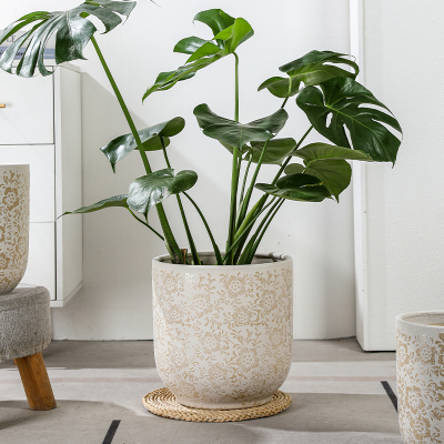 陶瓷花盆特大号口径轻奢龟背落地芋家用客厅植高级专用感龙血树绿