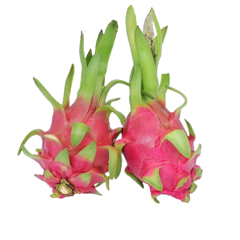 白心火龙果新鲜9斤当季越南进口热带水果白肉火龙果整箱包邮批发5