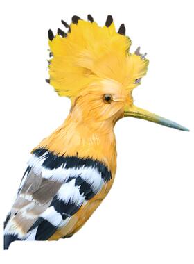 热卖仿真戴胜鸟餐厅橱窗摄影摆件