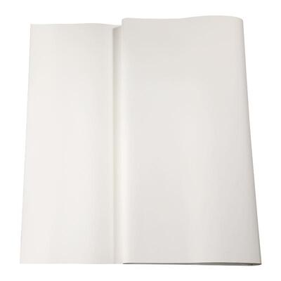 宣纸四尺书法专用纸国画作品用纸