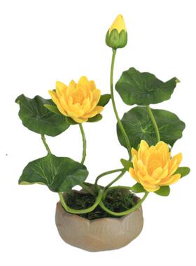 供佛室内装饰莲花小盆景睡莲