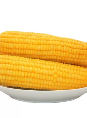 糖尿病人三高血糖玉米专用旗舰店糖人无糖可吃的零食粗粮杂粮患者