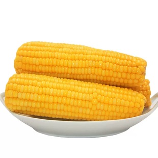 糖尿病人三高血糖玉米专用旗舰店糖人无糖可吃的零食粗粮杂粮患者