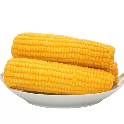 糖尿病人三高血糖玉米专用旗舰店糖人无糖可吃的零食粗粮杂粮患者