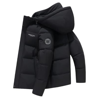 唐狮DESSO2025冬季新款羽绒服男