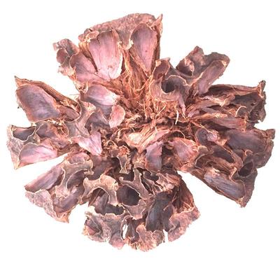 孕妇去胎毒莲房解暑好眠利尿