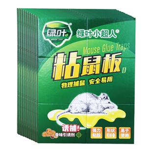 绿叶加厚加硬粘鼠板香味引诱强粘性捕鼠神器抓大小超人沾黏老鼠胶