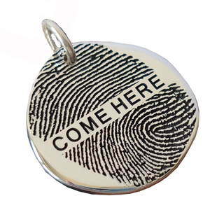 原创设计指纹项链定制一对男女款情侣情人节生日礼物个性刻字纯银