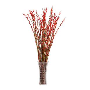 银柳真花鲜枝抱抱福桶喜庆年宵花卉盆栽室内红色干花水培植物雪柳