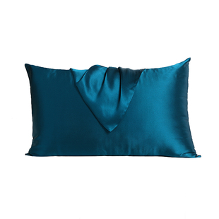 Cnsilk 100%桑蚕丝真丝乳胶枕套重磅丝绸信封式枕头套单只 可定制