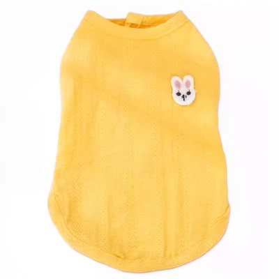 小猫猫咪衣服夏季薄款金渐层