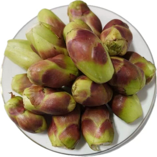 甘肃天水野菜乌龙头野菜刺嫩芽刺龙芽刺老苞现摘现发保鲜2斤装