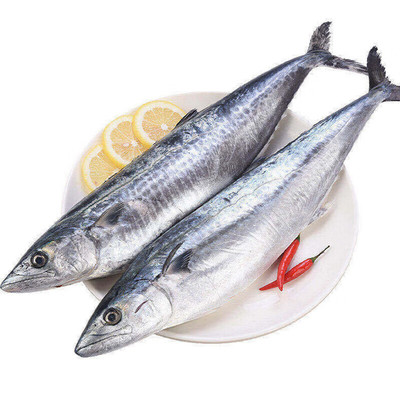 青岛大鲅鱼礼盒送礼首选