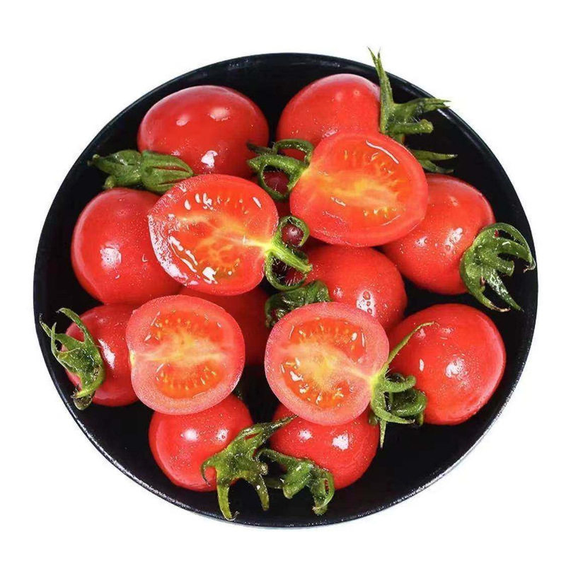 广西百色新鲜圣女果小番茄5斤装脆甜多汁农家自种西红柿酸甜整箱5