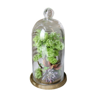 永生花玻璃罩展示盒情人节干花盲盒手办积木桌面防尘罩装饰品摆件