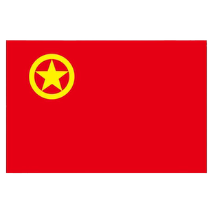 中国共青团团旗1号2号3号4号5号定做大号手持红旗装饰户外定制纳米防水室内壁挂三号标准旗帜192*128厘米