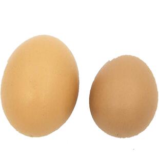 实木仿真假鸡蛋实心引窝蛋仿真模型道具鸡窝整蛊拍摄装饰儿童玩具